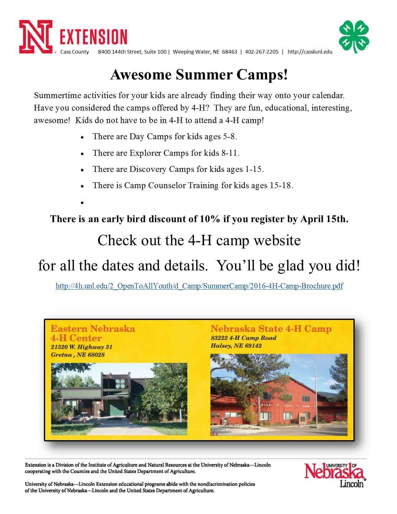 4 H Camp flyer