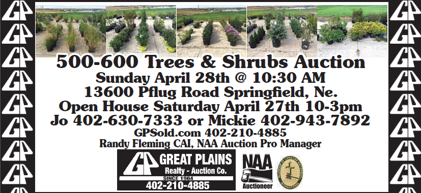 GP trees042819