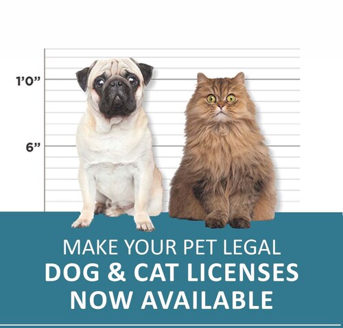 eagle pet licenses