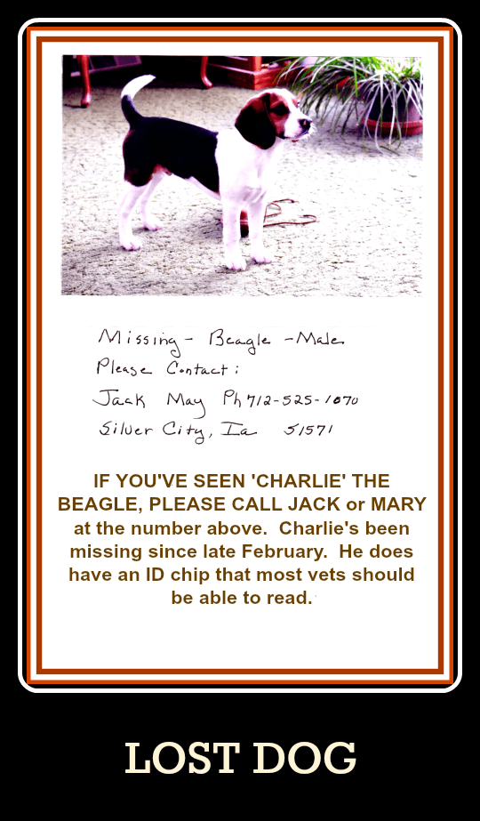 2017 03 15 lost dog