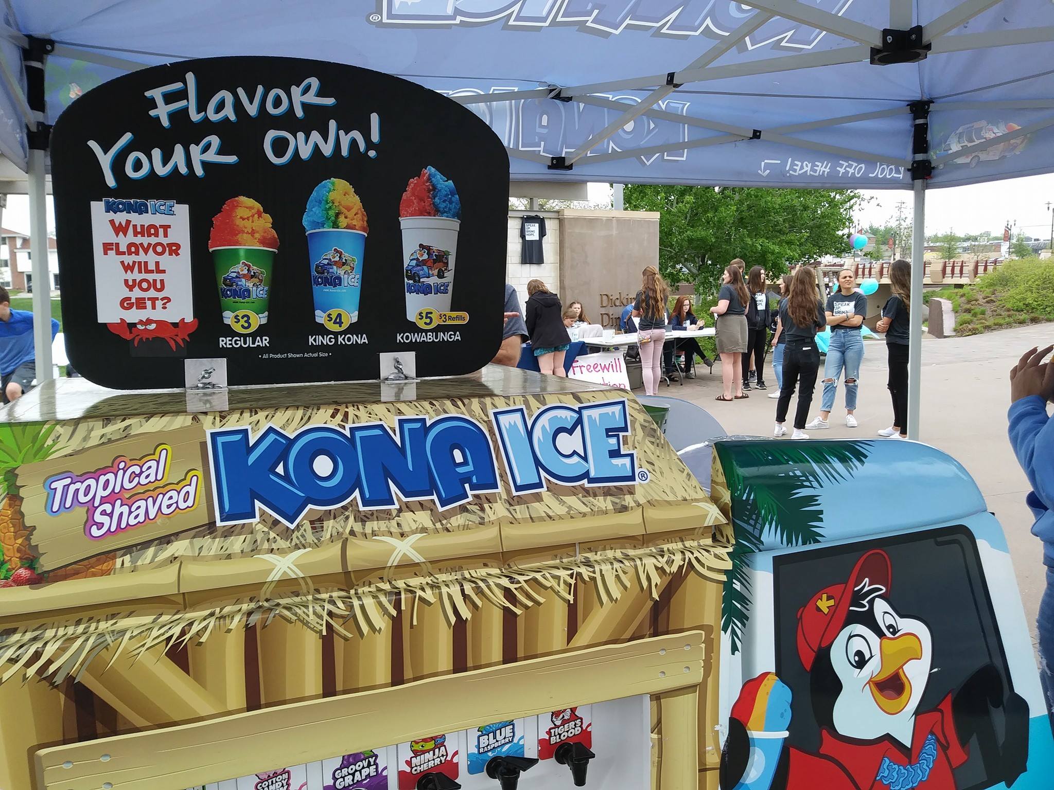 32253783 1536397759820176 8113971470218035200 o