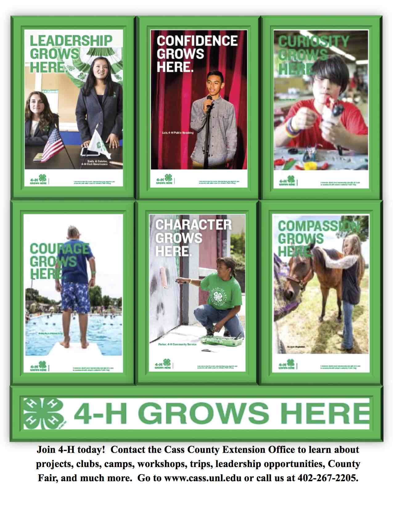 4H Enrollment flyer for January 20 2016