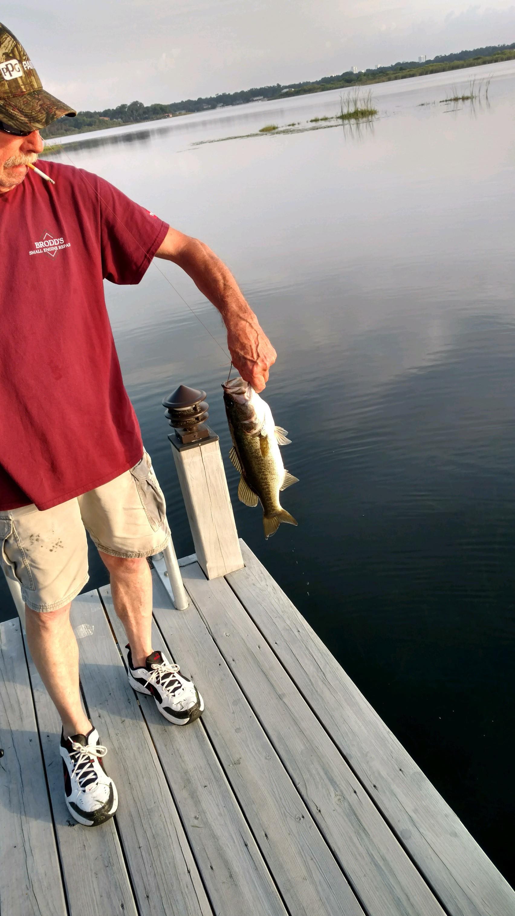 67954624 1058277111043708 4543080087741792256 n