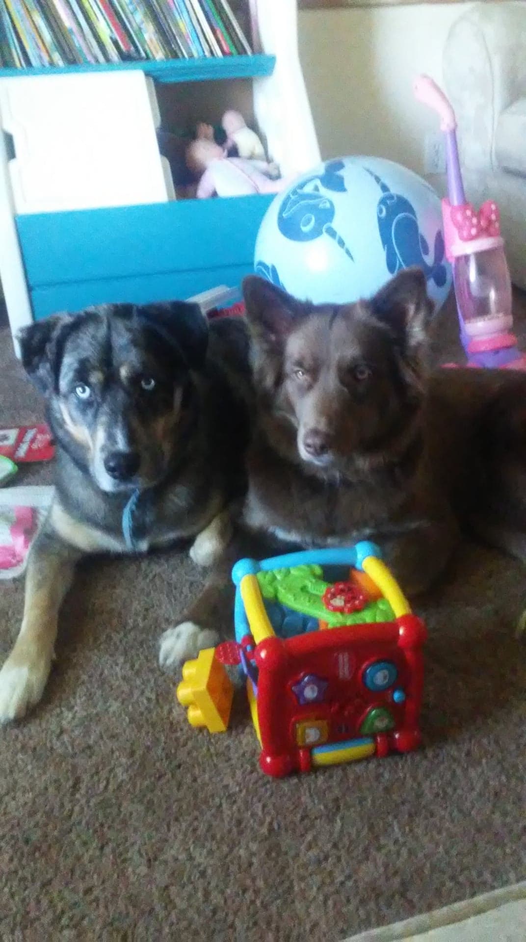 68548340 407610060104151 8832711775934742528 n