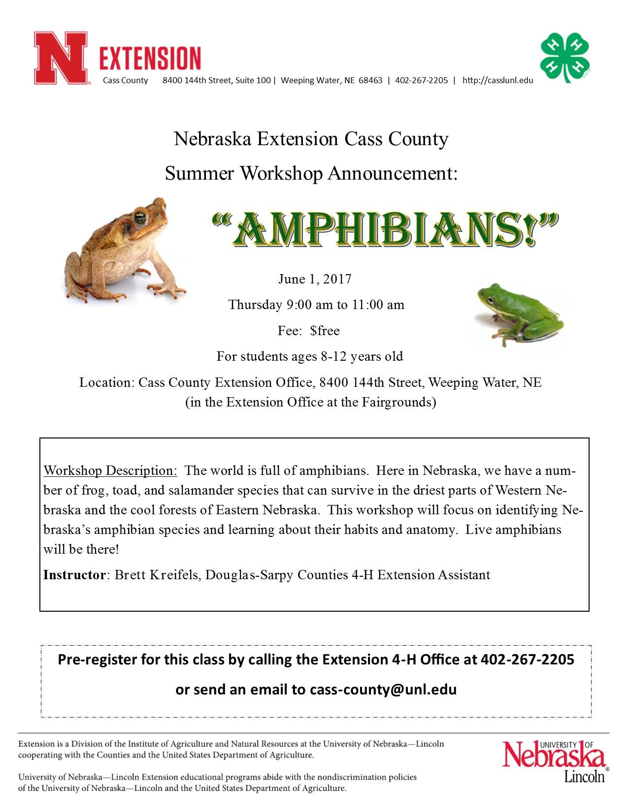 Amphibians workshop flyer