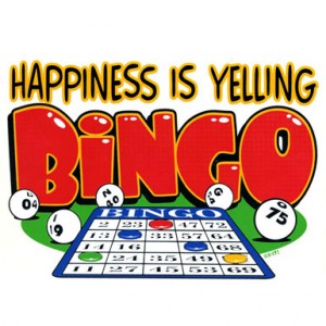 play bingo3 300x300